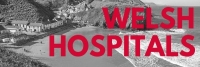 14-15 Mar 2024: Welsh Hospitals Dental Specialty Meeting